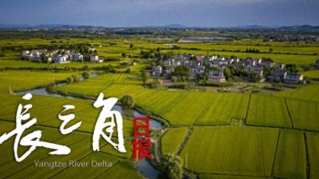 世界杯高清直播-“苏超”赛场“气晕”的小恐龙有IP文创了